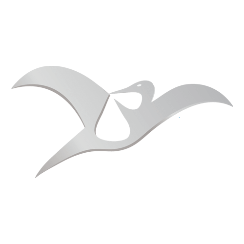 Cegonha Medicina Reprodutiva